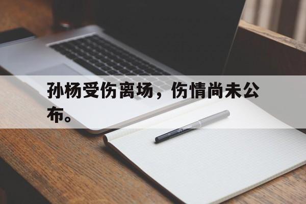 孙杨受伤离场，伤情尚未公布。