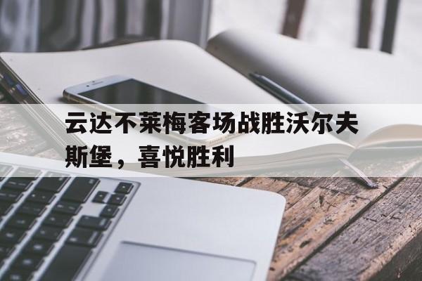 开云官方-云达不莱梅客场战胜沃尔夫斯堡，喜悦胜利
